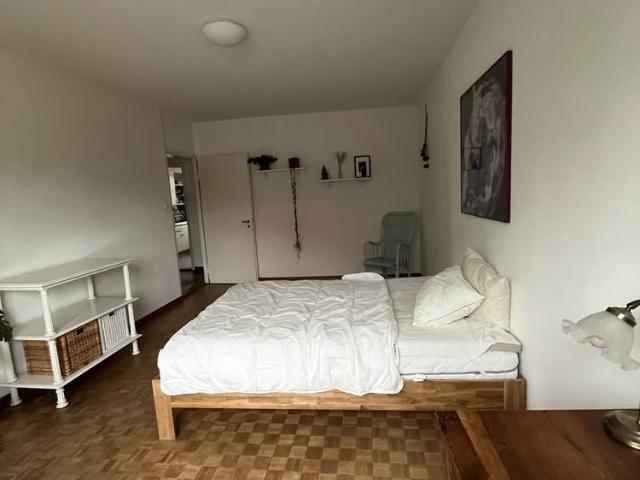 Apartment mieten in Friesenberg, Zürich