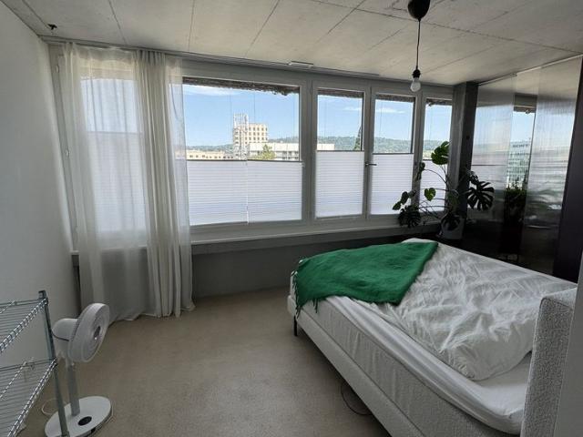 Apartment mieten in Schlieren, Zürich