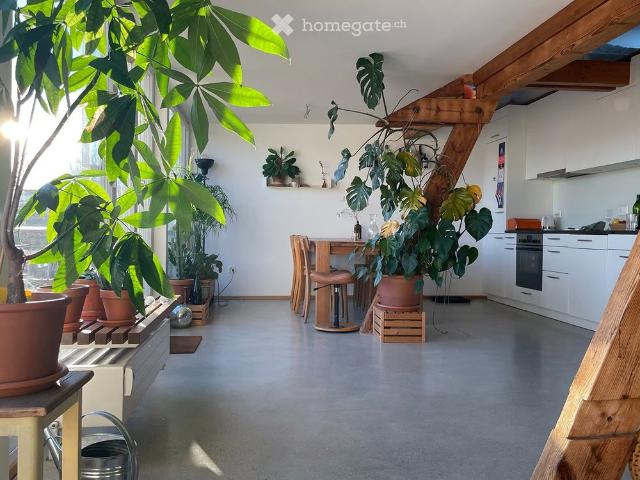 Apartment mieten in Basel, Basel-Stadt