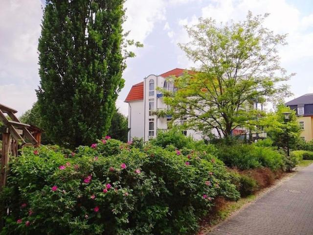 Wohnung mieten in Übigau, Dresden