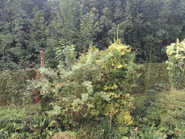 Wohnung mieten in Nützenberg, Wuppertal