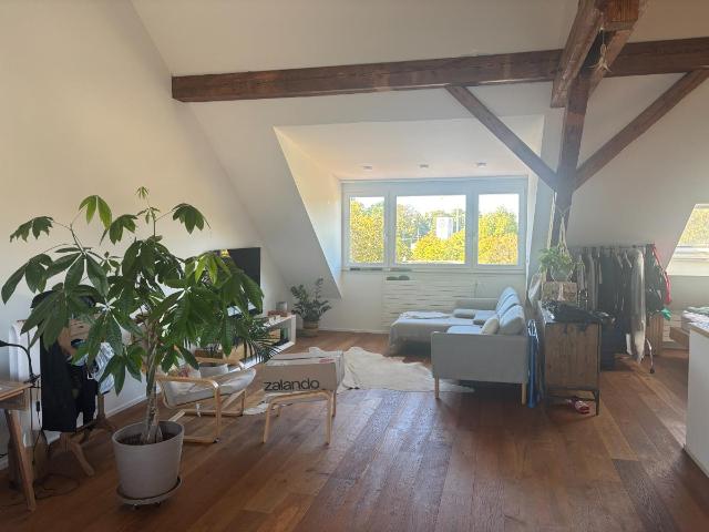 Dachwohnung mieten in Basel, Basel-Stadt
