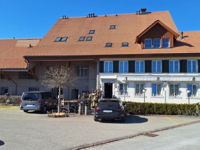 Studio mieten in Wermatswil, Uster