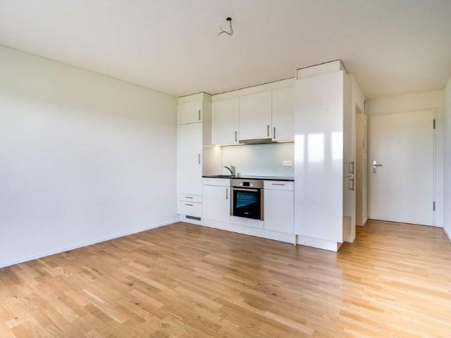 Apartment mieten in Himmelrich, Wil (SG)