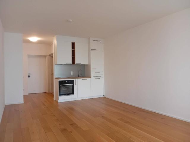 Apartment mieten in Urfahr, Linz