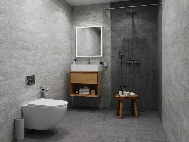 Apartment mieten in Muttenz, Basel-Landschaft
