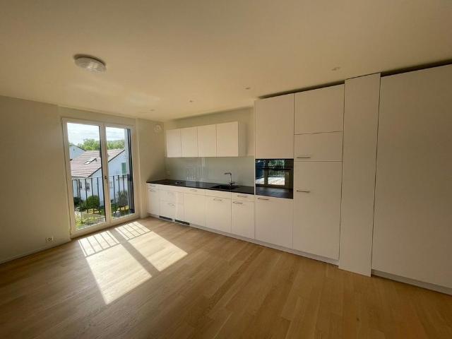 Apartment mieten in Feuerthalen, Zürich