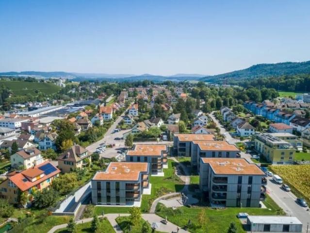 Apartment mieten in Feuerthalen, Zürich