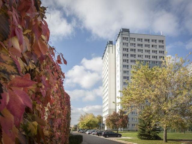 Apartment mieten in Feldstadt, Schwerin