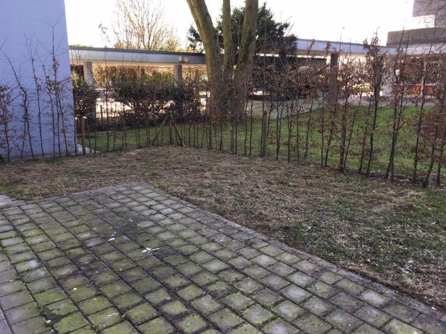 Apartment mieten in Querenburg, Bochum