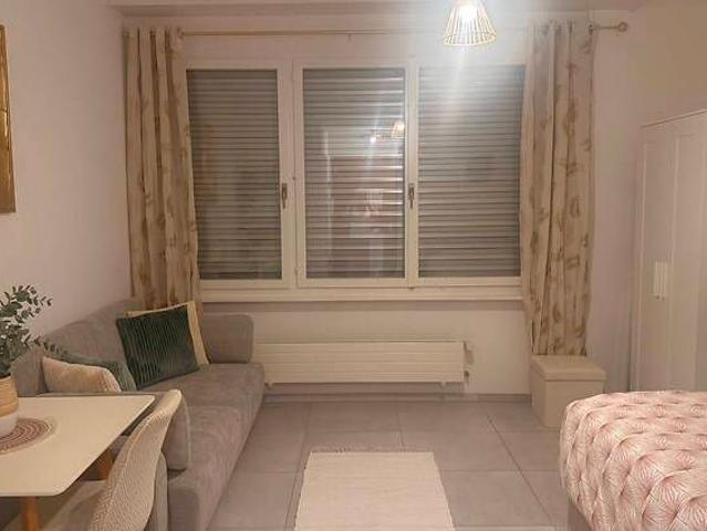 Apartment mieten in Vevey, Waadt