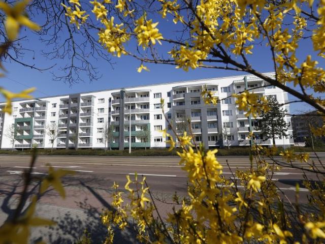 Apartment mieten in Dessau, Sachsen-Anhalt