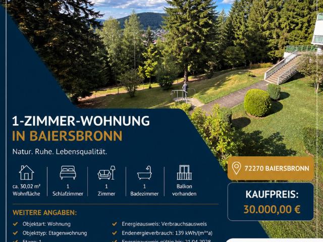 Wohnung kaufen in Baiersbronn, Baden-Württemberg