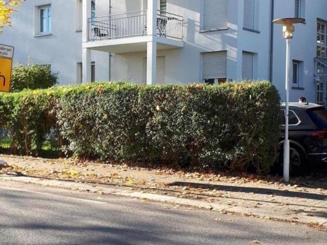 Wohnung mieten in Kapellenberg, Chemnitz