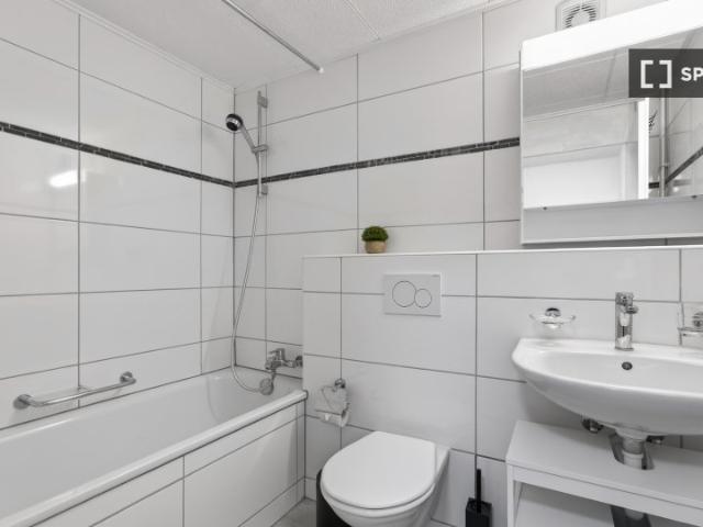 Wohnung mieten in Grossbasel, Basel