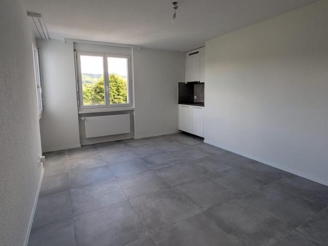 Apartment mieten in Burgdorf, Verwaltungsregion Emmental-Oberaargau