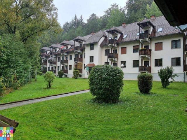 Apartment mieten in Eisbach, Steiermark
