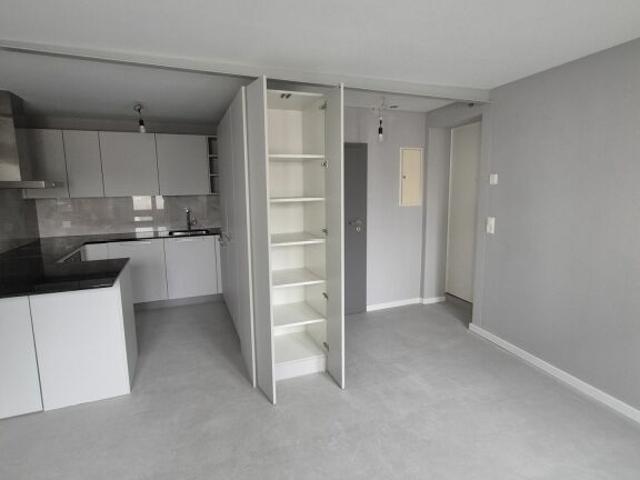 Wohnung mieten in Villmergen, Aargau