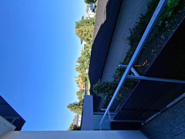 Wohnung mieten in Laxenburg, Bezirk Mödling