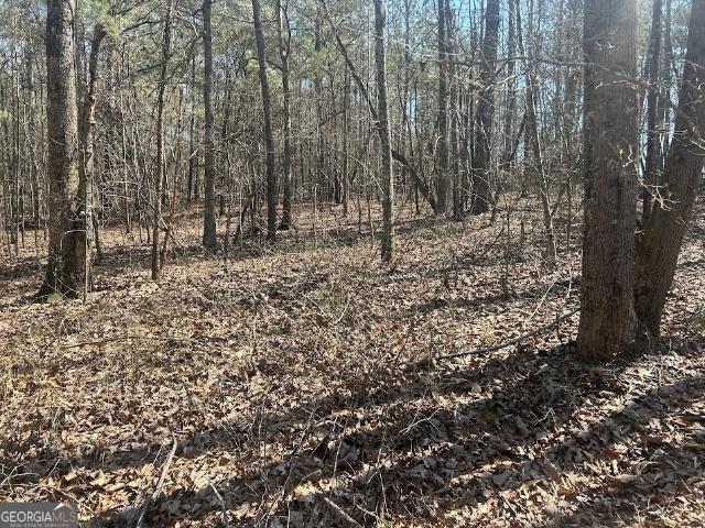 Land for sale in Bowdon, Georgia