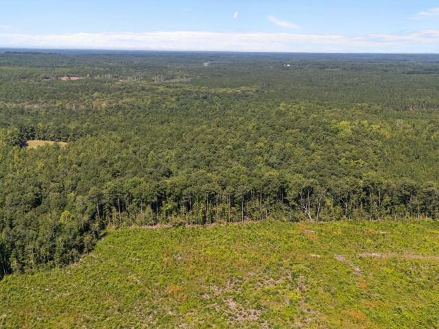 Land for sale in Johnsonville, Cameron