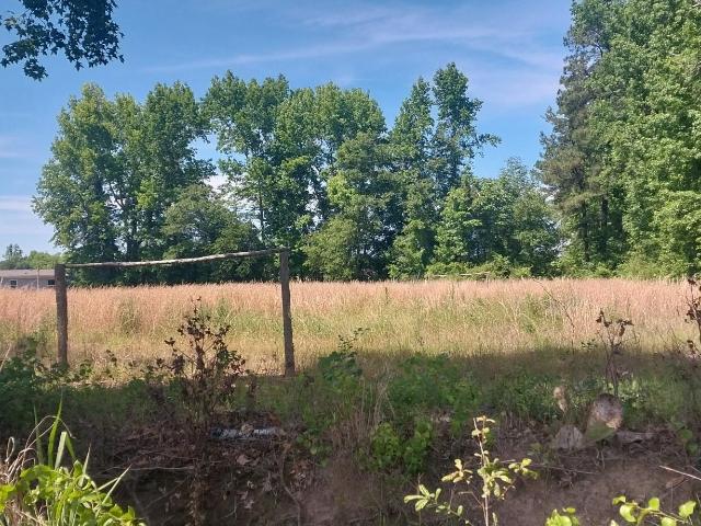 Land for sale in Mullins, South Carolina