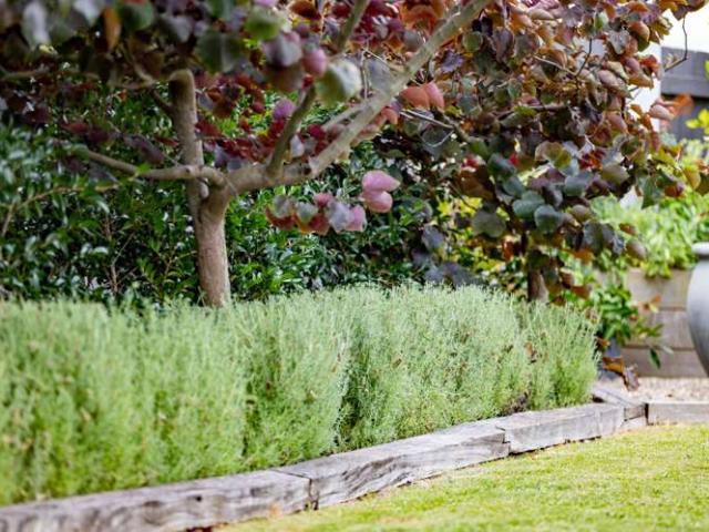 House for sale in Hamilton, Waikato