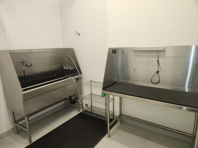 Apartment for rent in Winfield, British Columbia