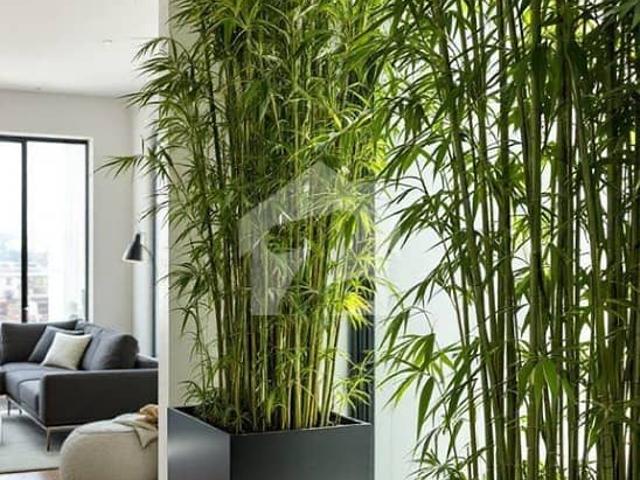 Apartment for sale in Rawalpindi, Islamabad Capital Territory