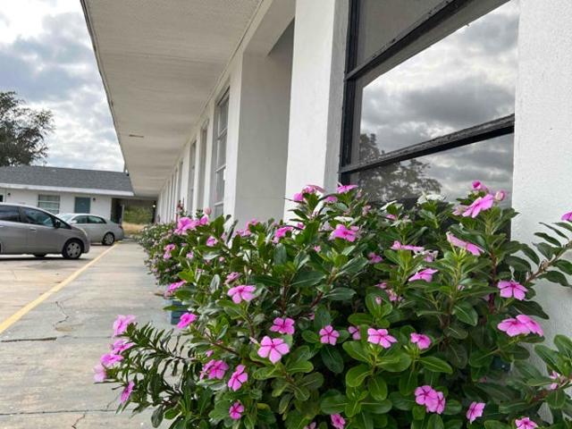 Room for rent in Tampa, Florida