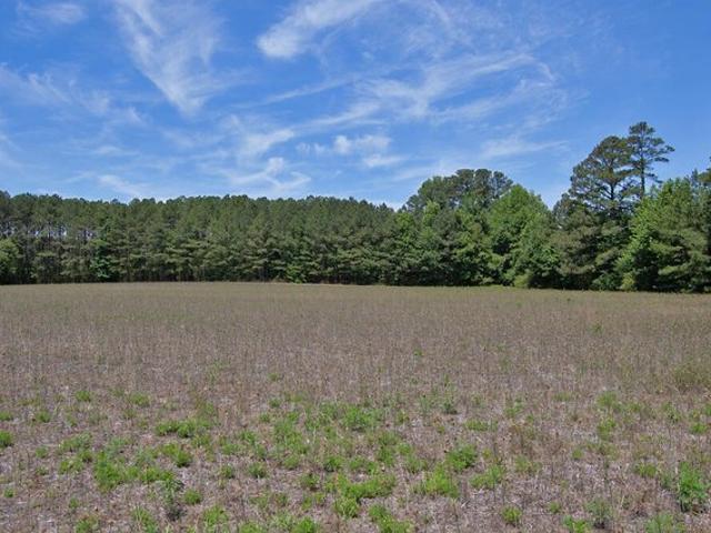 Land for sale in Louisburg, North Carolina