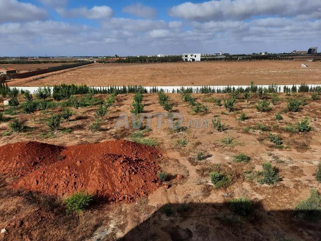 Propriété vente à Slimane, Gharb-Chrarda-Beni Hssen