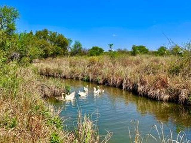 Farm for sale in Waterkloof, Gauteng