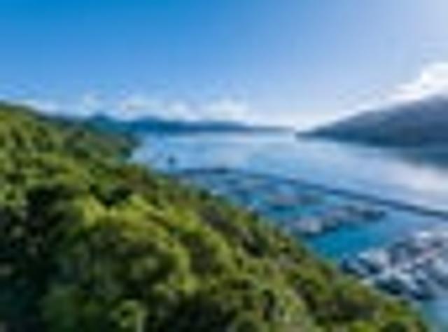 Land for sale in Marlborough