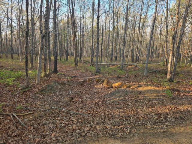 Land for sale in Mizpah, New Jersey