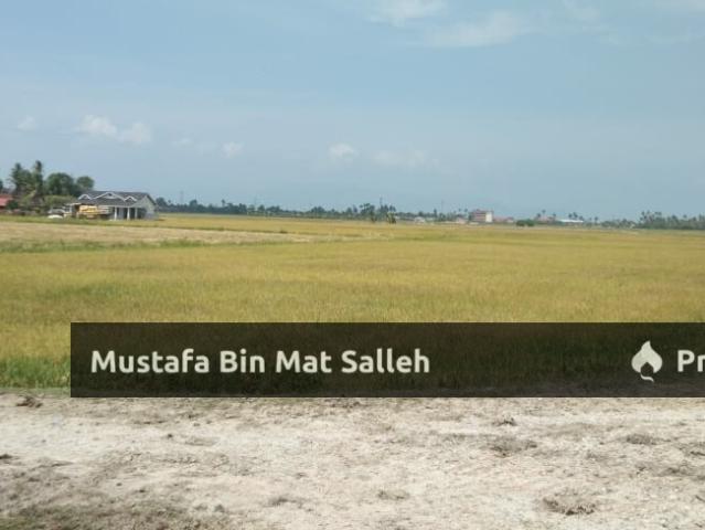 Property for sale in Permatang Haji Hassan, Permatang Buloh