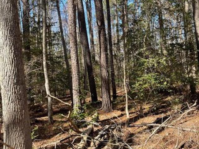 Land for sale in Nanjemoy, Maryland