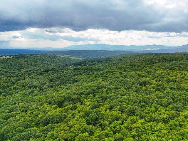 Land for sale in Rensselaerville, New York