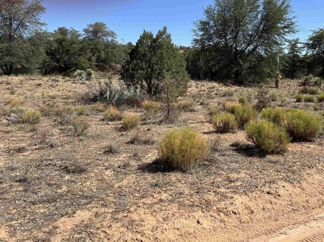 Land for sale in Silver City, New Mexico
