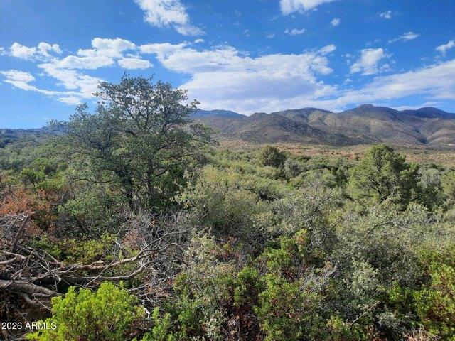 Land for sale in Gila, Arizona