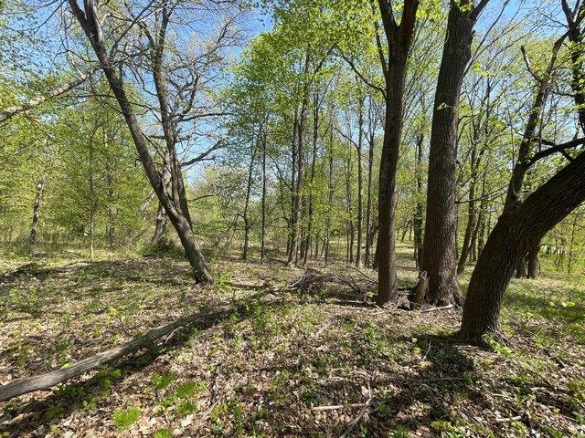 Land for sale in Harris, Minnesota