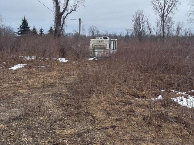 Land for sale in Chippewa Lake, Michigan
