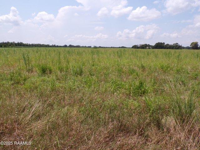 Farm for sale in Rayne, Louisiana