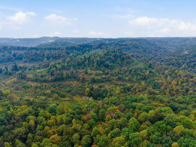 Land for sale in Somerset, Pulaski County