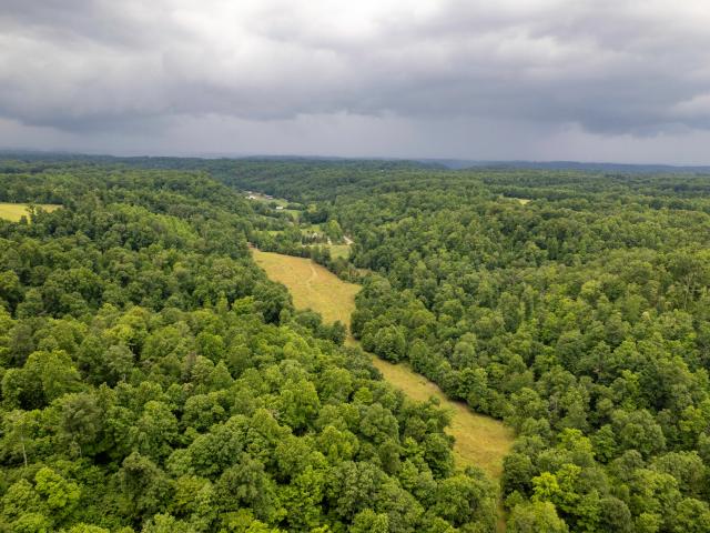 Land for sale in Liberty, Kentucky