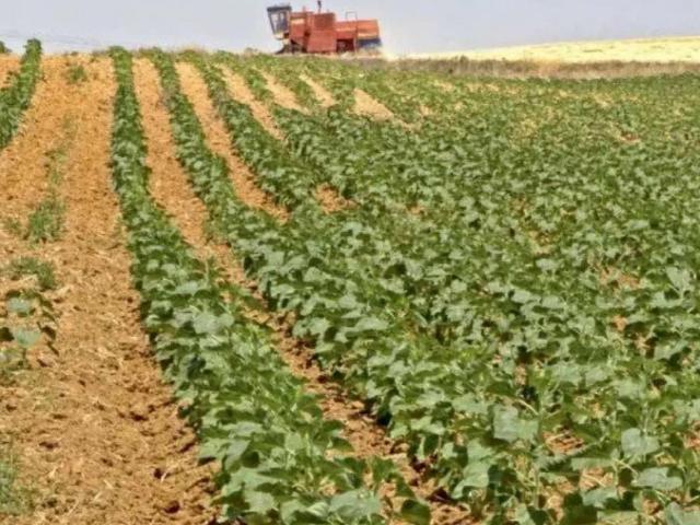 Land for sale in SITE Town, North Waziristan