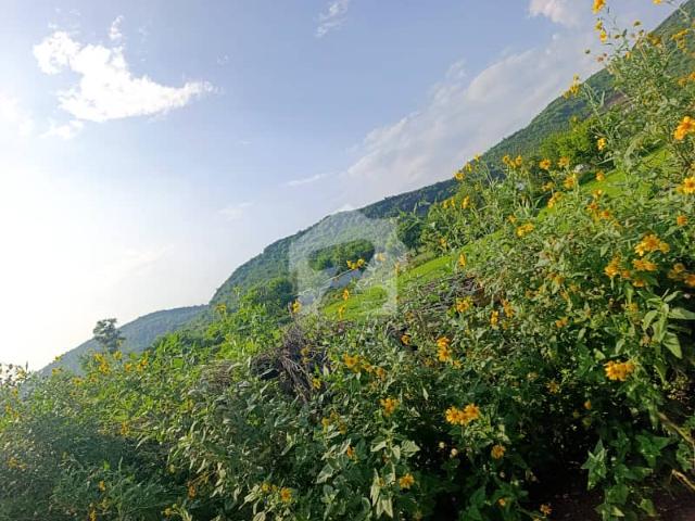 Property for sale in Islamabad
