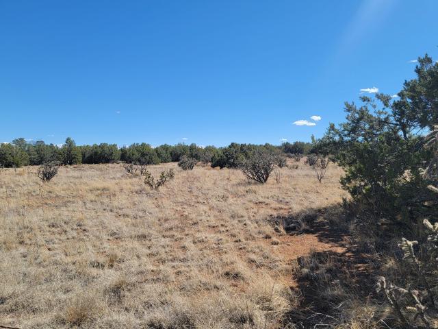 Land for sale in Edgewood, New Mexico