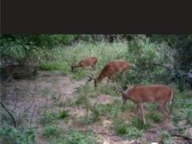 Land for sale in Kansas