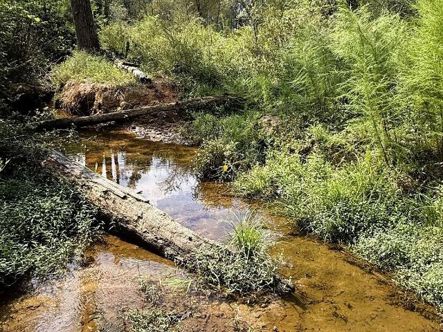 Land for sale in Royston, Franklin County